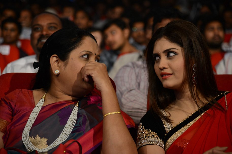 Express-Raja-Audio-Launch